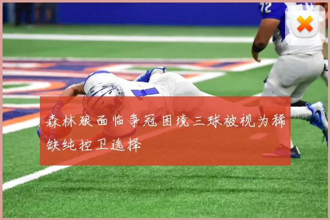 森林狼面临争冠困境三球被视为稀缺纯控卫选择